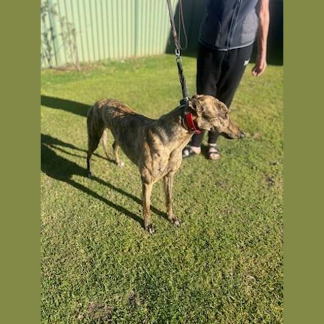 Photo of Peppa & Sophie