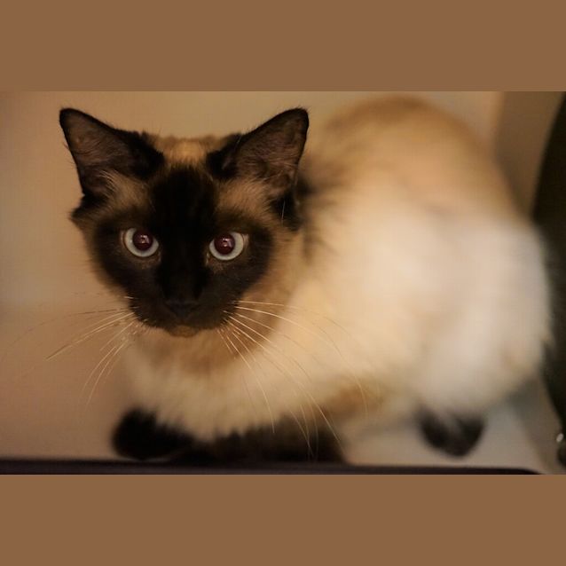 Photo of Felicity