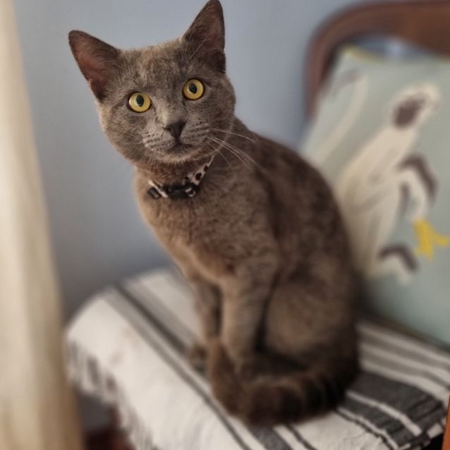 Photo of Clem