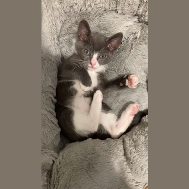 Photo of Bobby