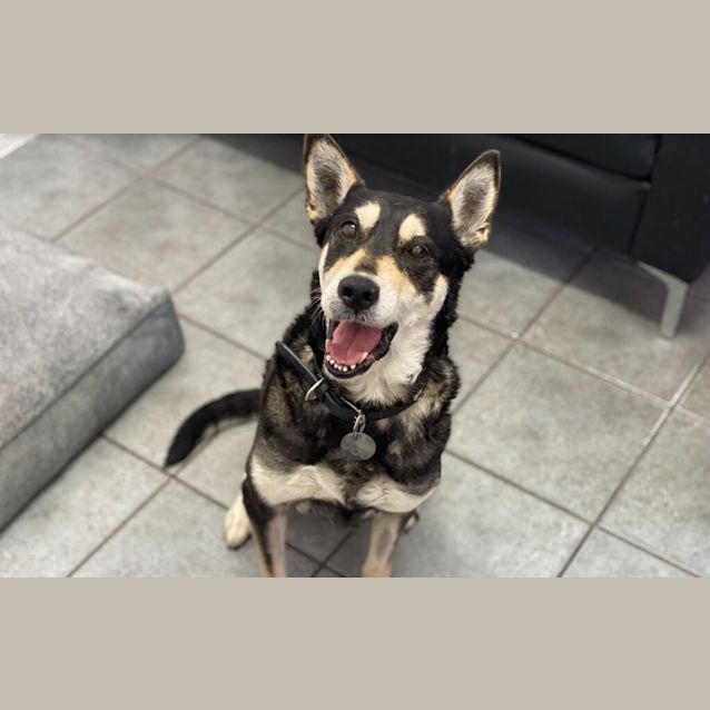 Photo of Tilly