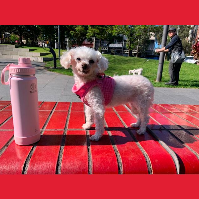 Photo of Mia & Milly