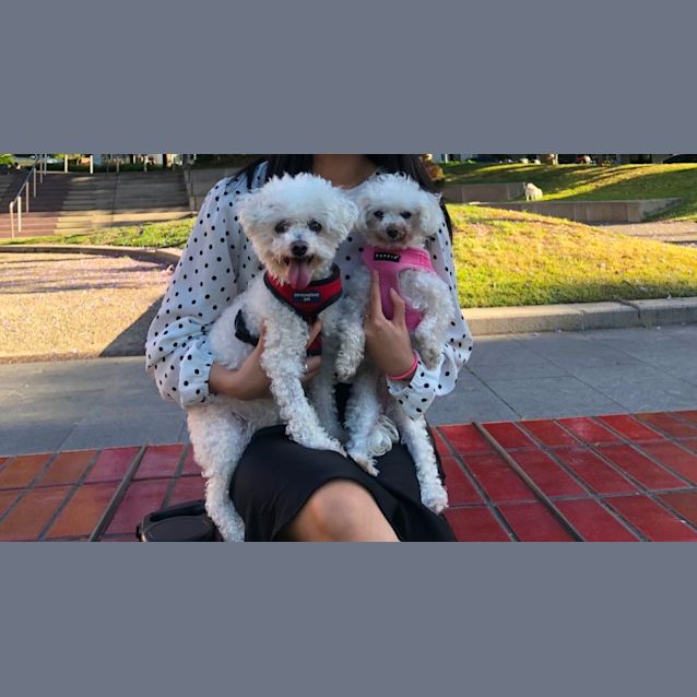 Photo of Mia & Milly