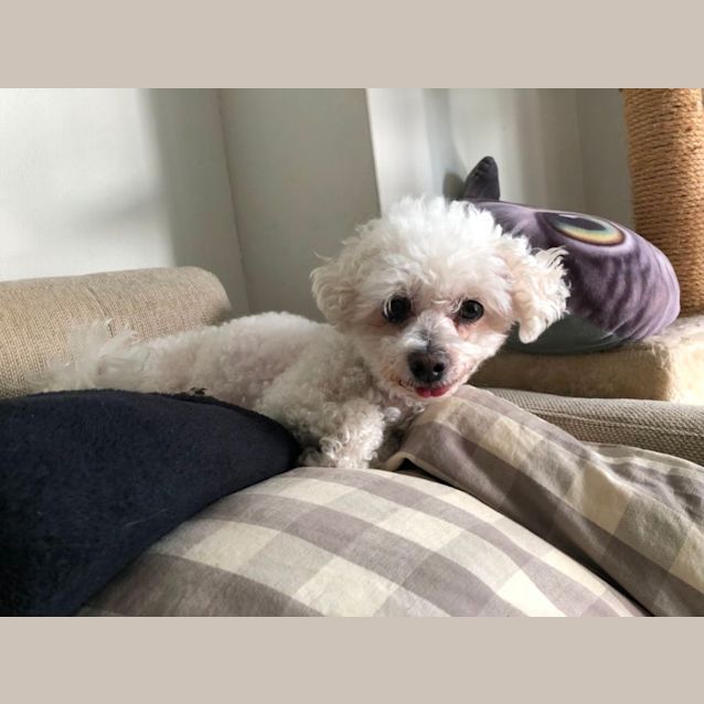 Photo of Mia & Milly