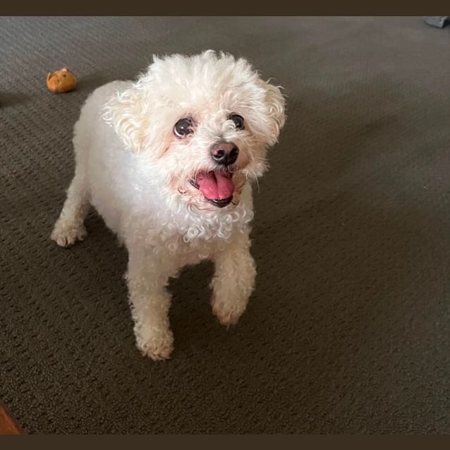 Photo of Mia & Milly