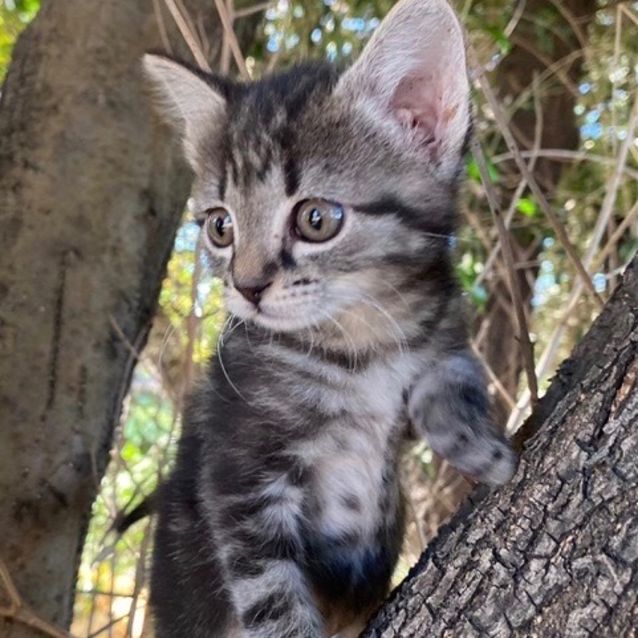 Photo of Olivia