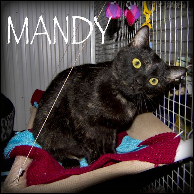 Photo of Mandy