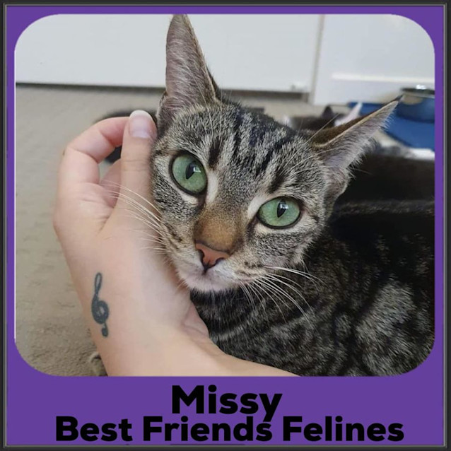 Photo of Missy