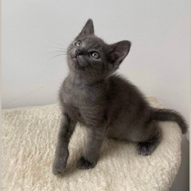 Photo of Posey & Poppy 