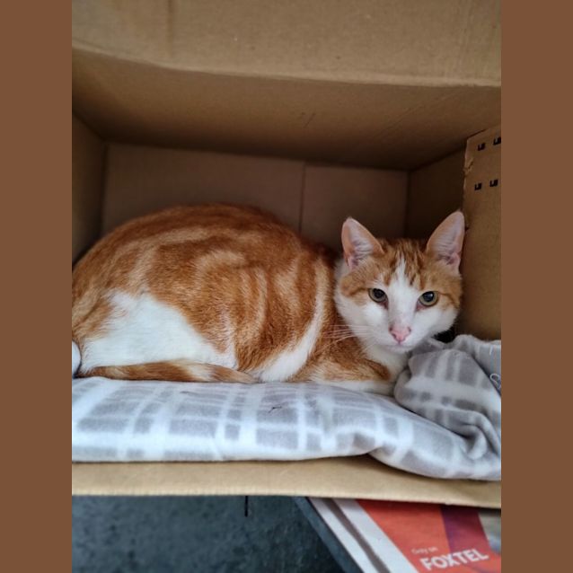Photo of Baxter