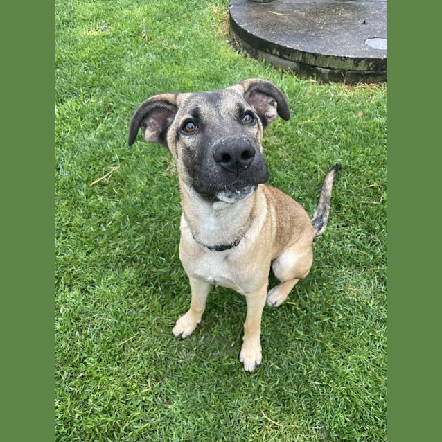 Photo of Mocona / Bandit