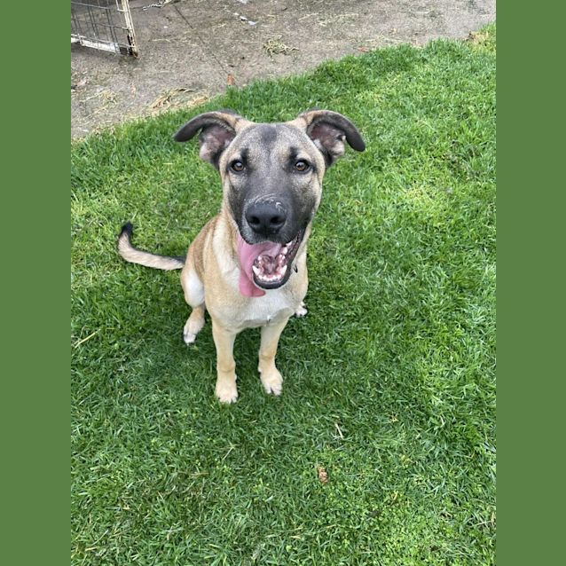 Photo of Mocona / Bandit