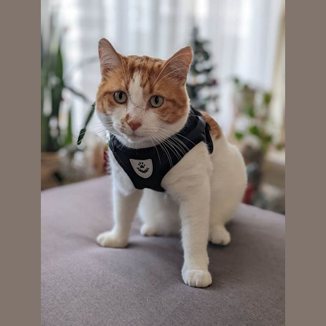 Photo of Bobby