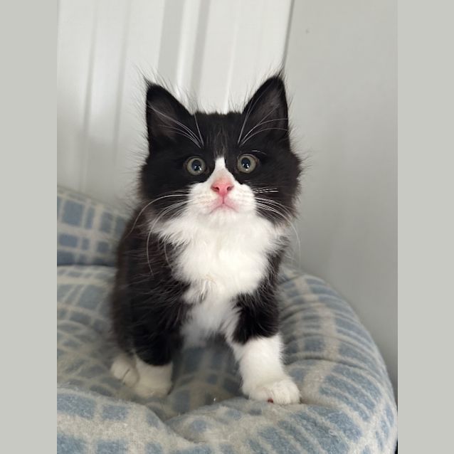 Photo of Mr Nimbus
