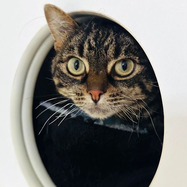 Photo of Noelle   Located In Preston  