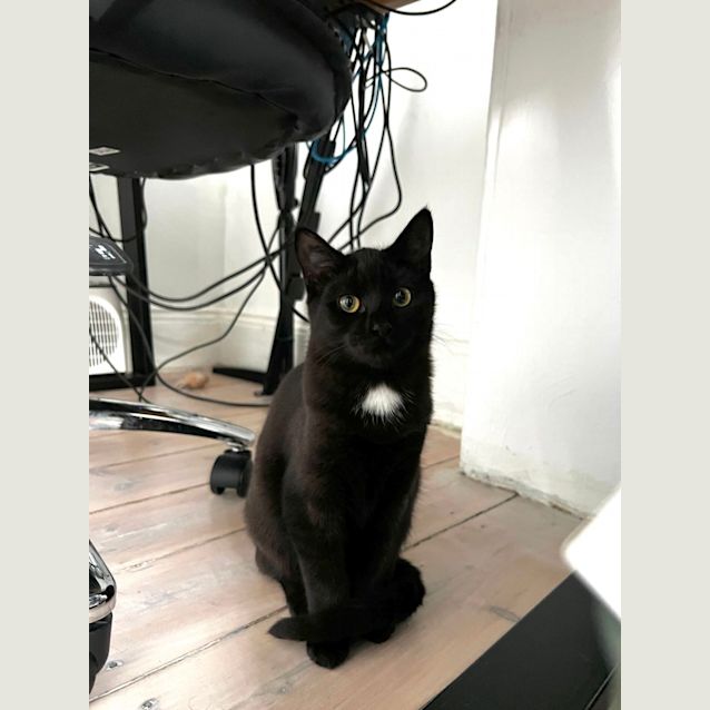 Photo of Boris & Bugs