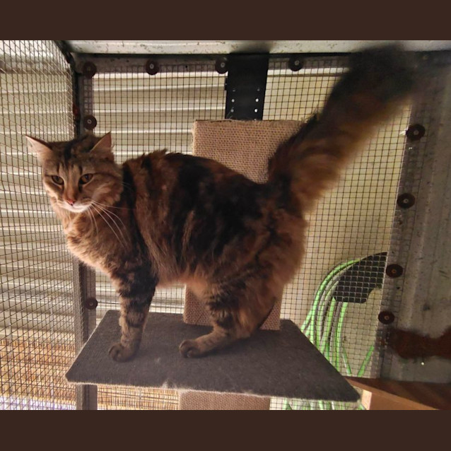 Photo of Lilly