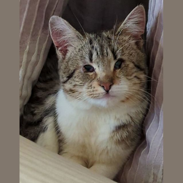 Photo of Sally