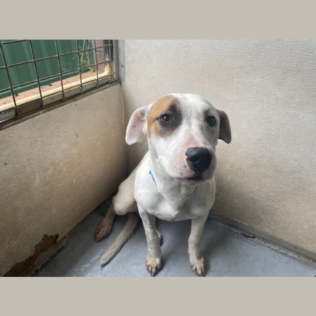 Photo of Jerry (Imp No. 1798)