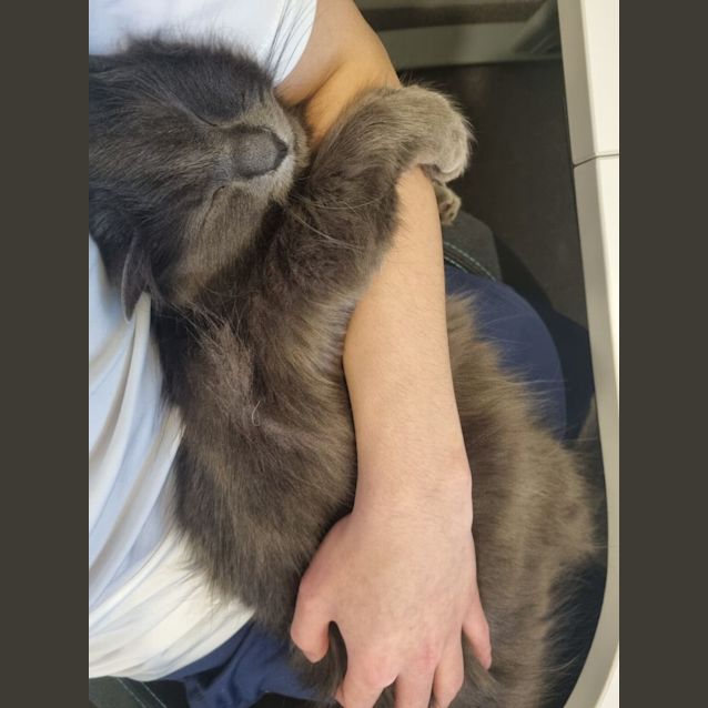 Photo of Rykker & Digger