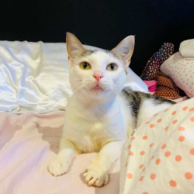 Photo of Nancy   Located In Thornbury