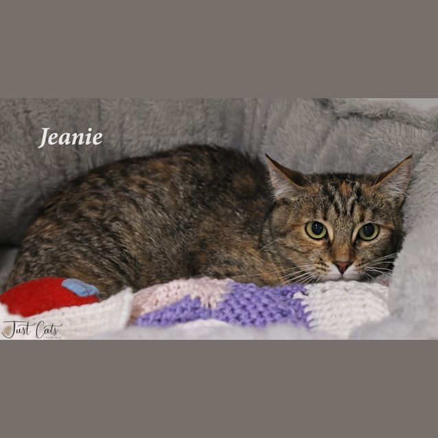 Photo of Jeanie