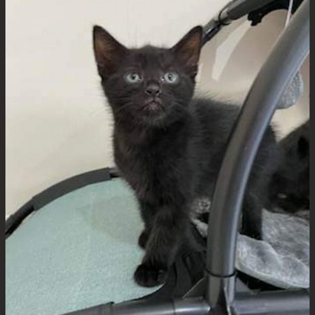 Photo of Hershey