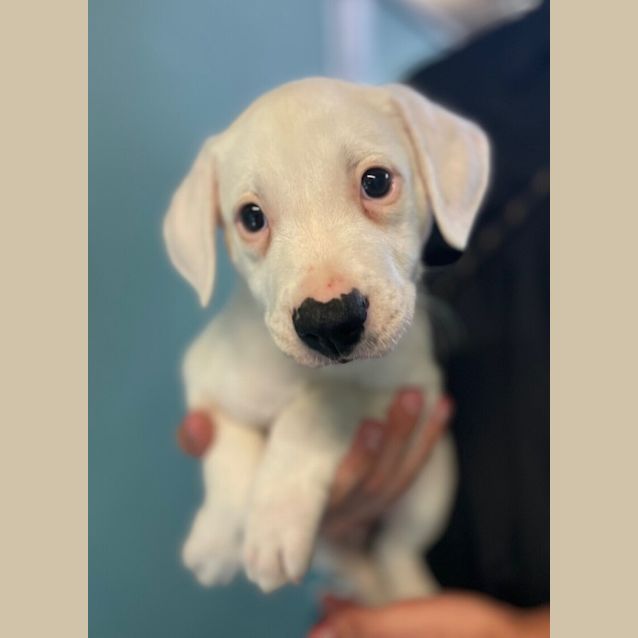 Photo of Murphy