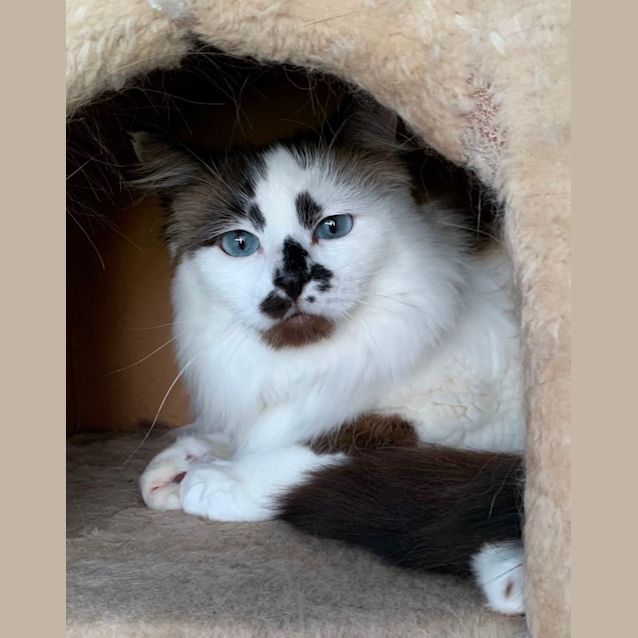 Photo of Chloe