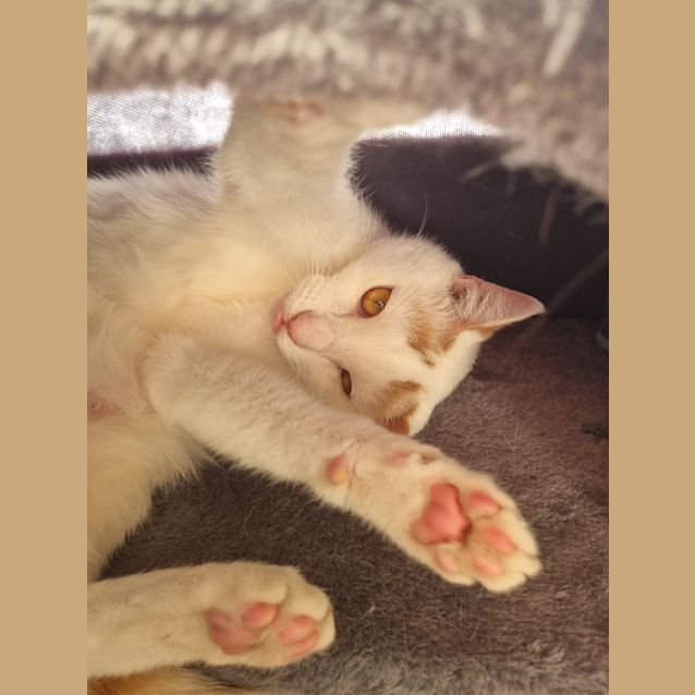 Photo of Doofy And Milo