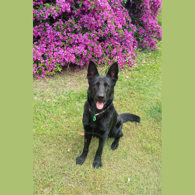 Photo of Echo