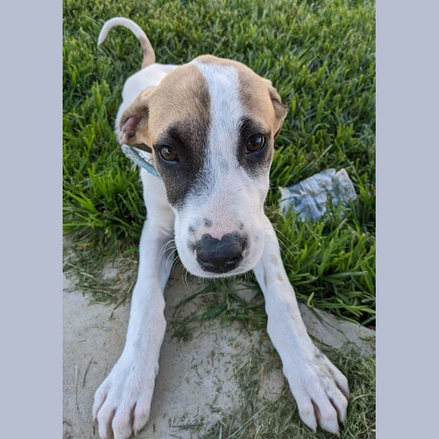 Photo of Elsa