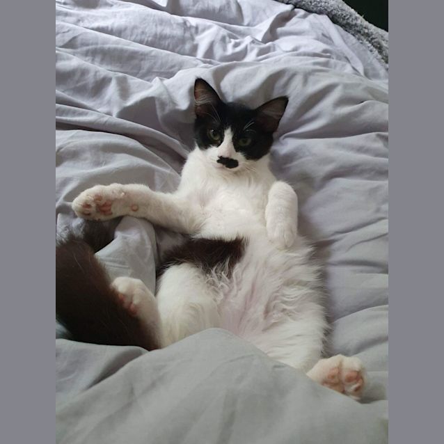 Photo of Taeko 