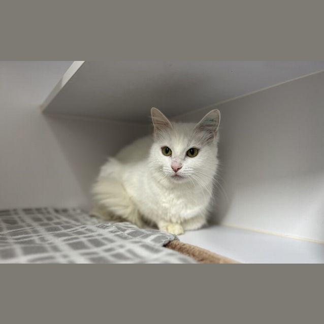 Photo of Sally