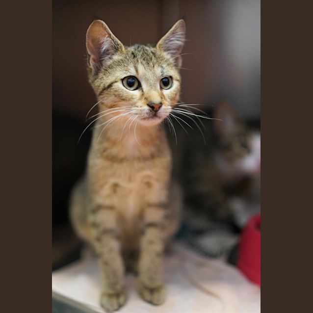 Photo of Louie