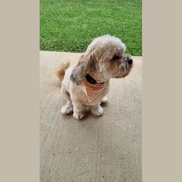 Photo of Arlo