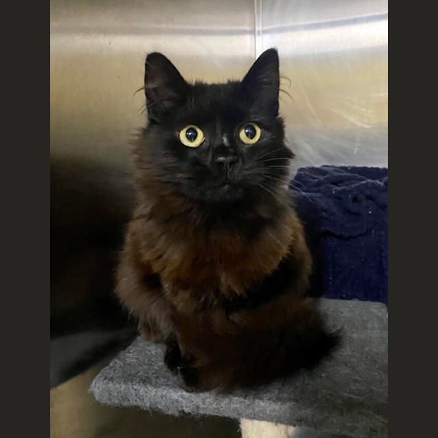Photo of Oliver
