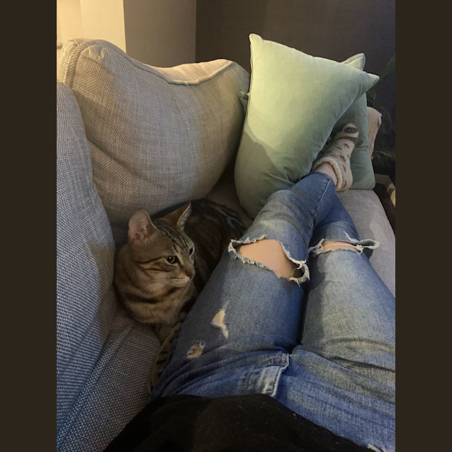 Photo of Baloo And Jessie