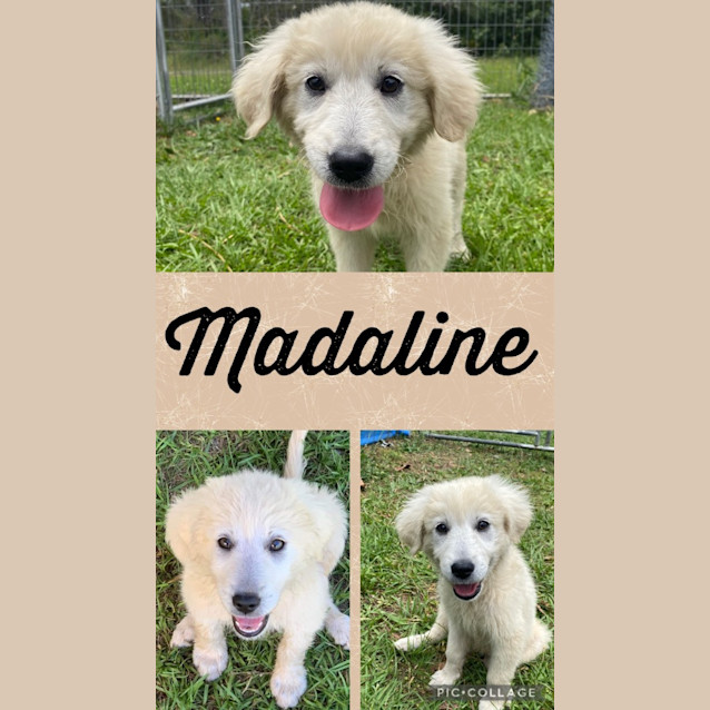 Photo of Madaline