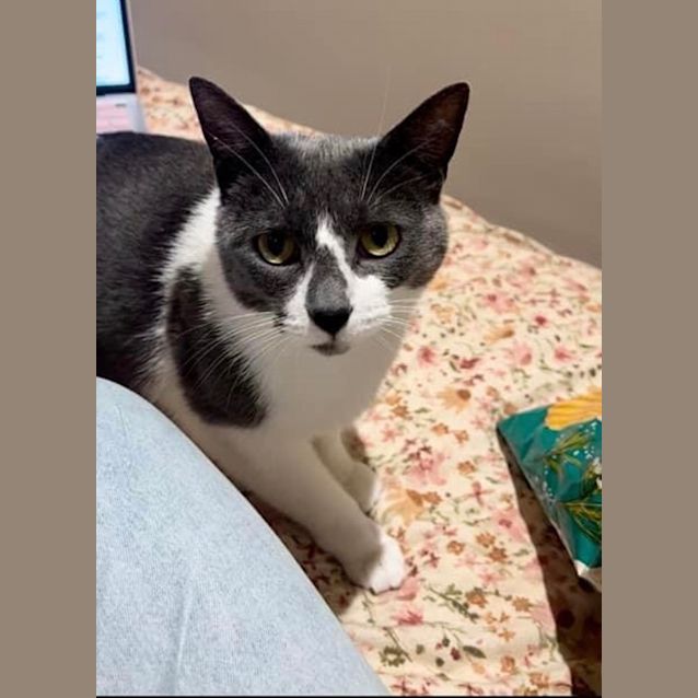 Photo of Ace Meet Me At Petstock Chelsea Store 20/9/23