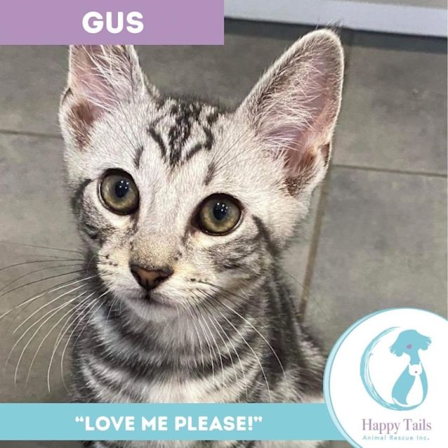 Photo of Gus