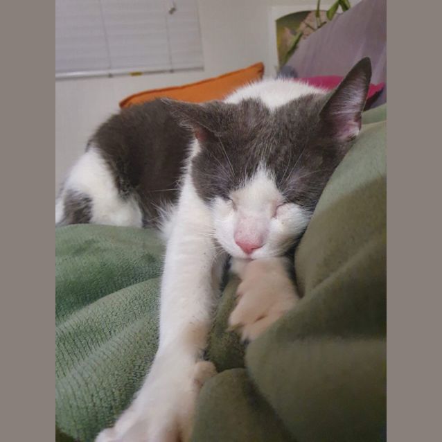 Photo of Abercrombie & Fitch