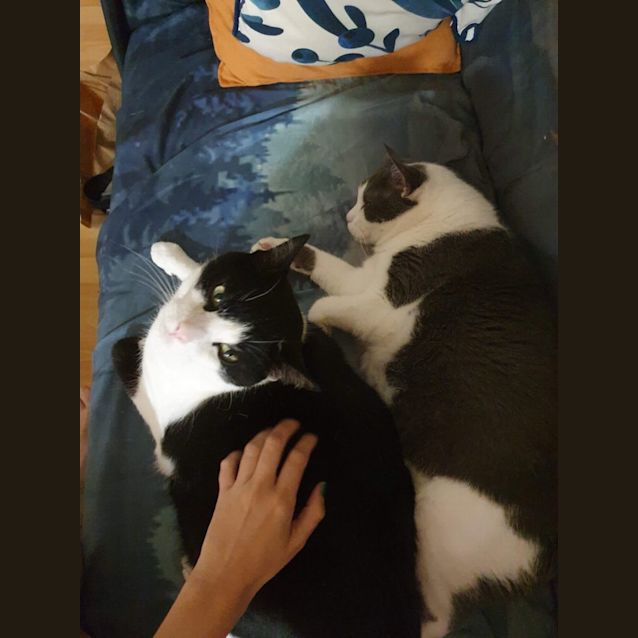 Photo of Abercrombie & Fitch