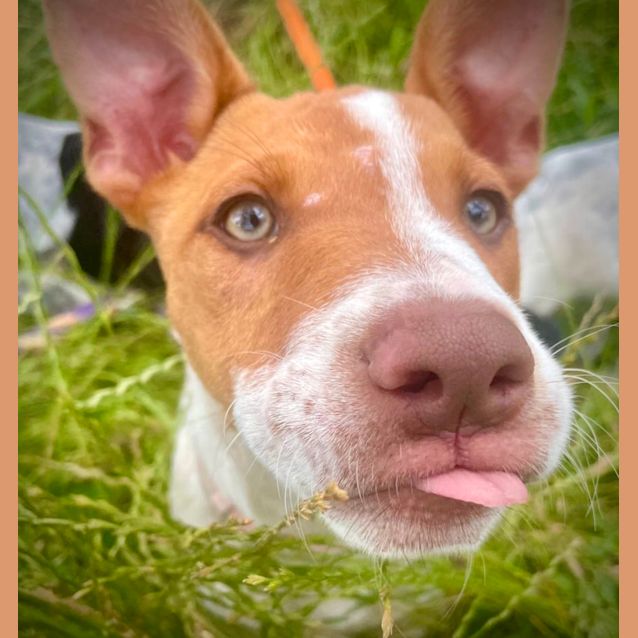Photo of Wendy 
