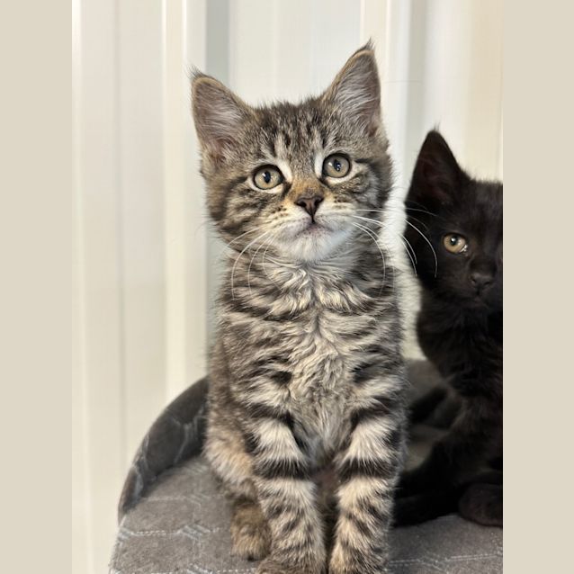 Photo of Tiny