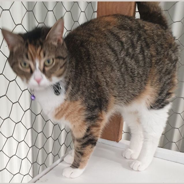 Photo of Gem