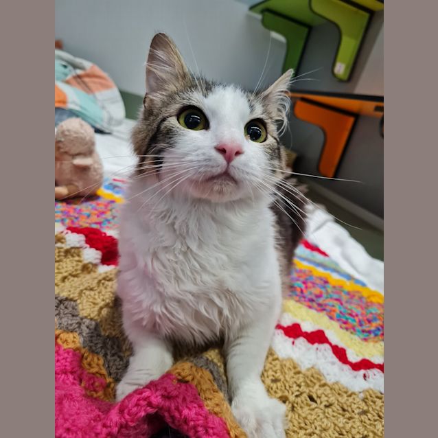 Photo of Pablo