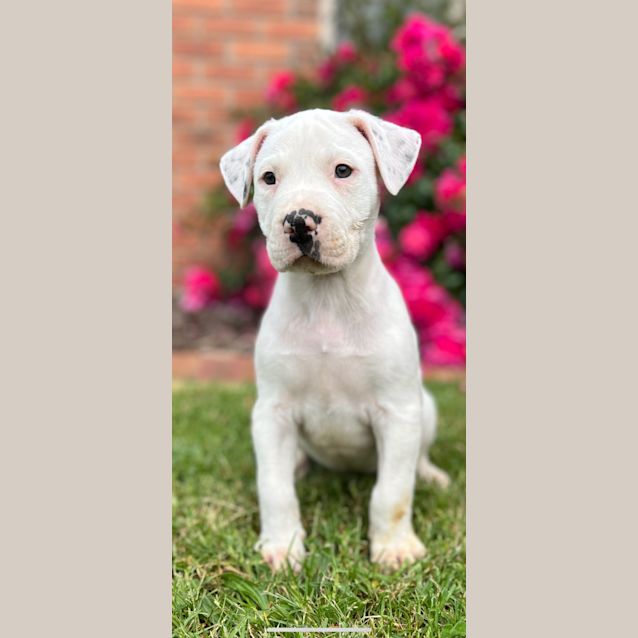 Photo of 💕💕Sailor💕💕