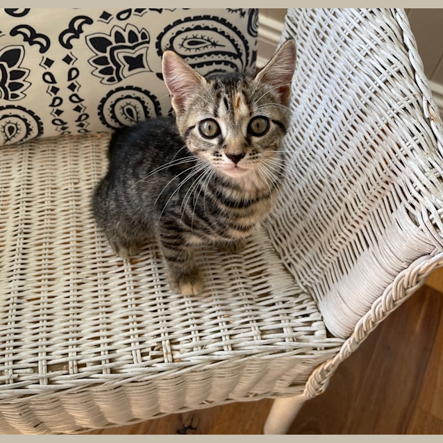 Photo of Freya