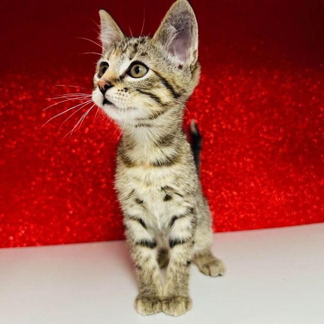 Photo of Betty   Located In Preston 